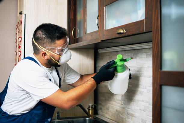 Best Bed Bug Extermination  in Hazlehurst, MS
