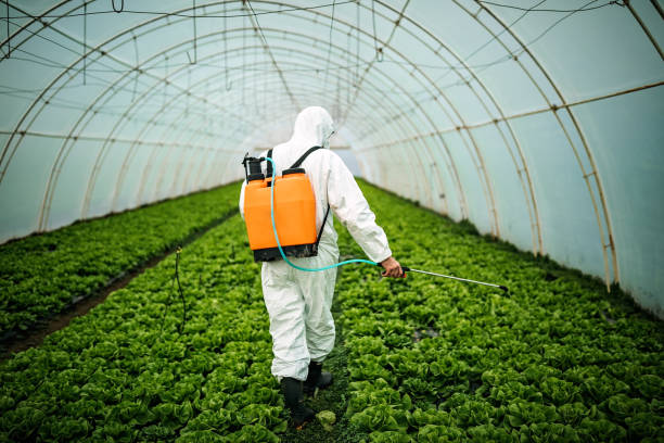 Best Ant Control Services  in Hazlehurst, MS